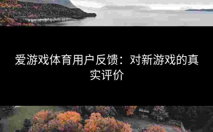 爱游戏体育用户反馈：对新游戏的真实评价