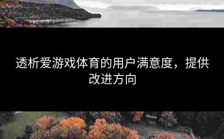 透析爱游戏体育的用户满意度，提供改进方向