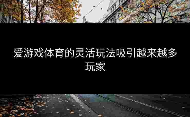 爱游戏体育的灵活玩法吸引越来越多玩家