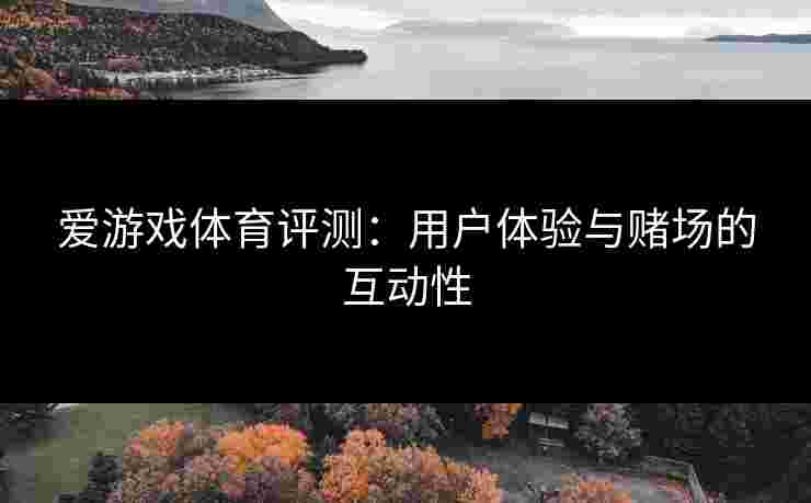 爱游戏体育评测：用户体验与赌场的互动性
