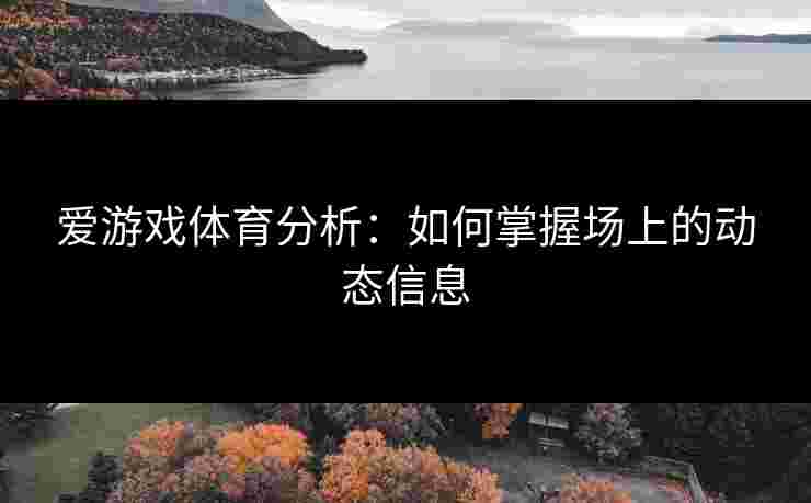 爱游戏体育分析：如何掌握场上的动态信息