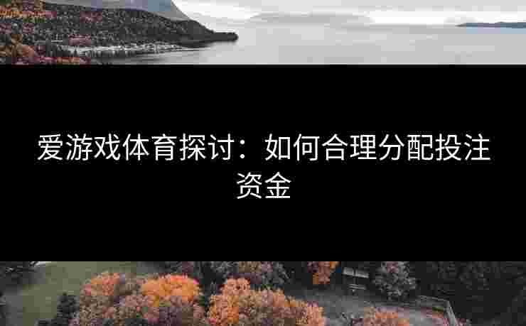 爱游戏体育探讨：如何合理分配投注资金