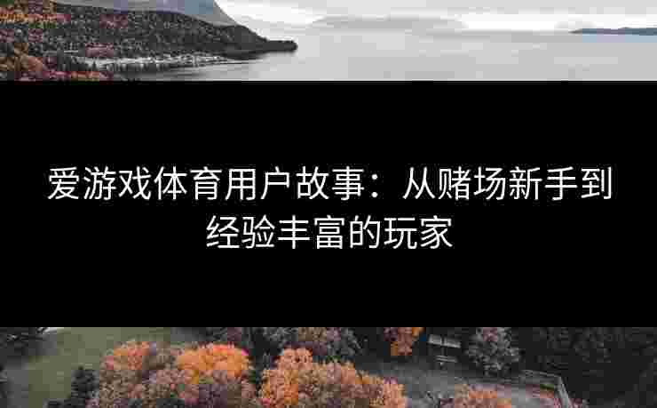 爱游戏体育用户故事：从赌场新手到经验丰富的玩家